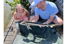 ☀️ Last minute naar Vakantiepark De Groote Vliet? ☀️