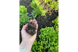 Agrarische Markt in Bovenkarspel: Grond Beweegt!
