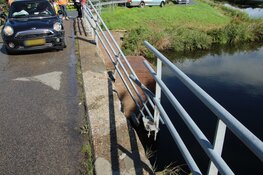 Auto botst tegen hekwerk van brug en komt boven water tot stilstand aan de Langereis