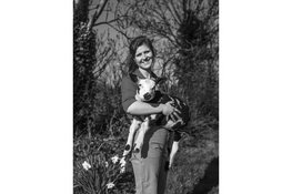 Stoeien met koeien op dierendag in Rundveemuseum