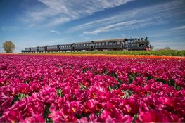 VriendenLoterij verlengt miljoenenbijdrage aan vijf musea in Noord-Holland