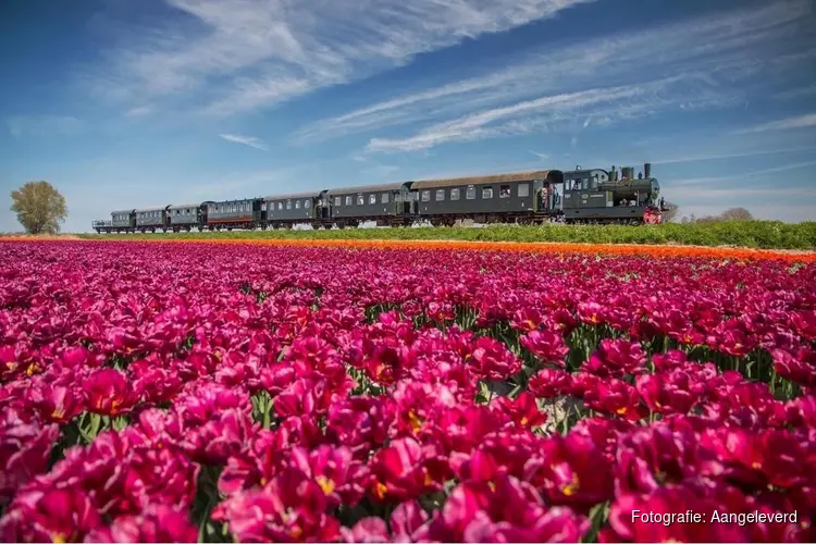 VriendenLoterij verlengt miljoenenbijdrage aan vijf musea in Noord-Holland